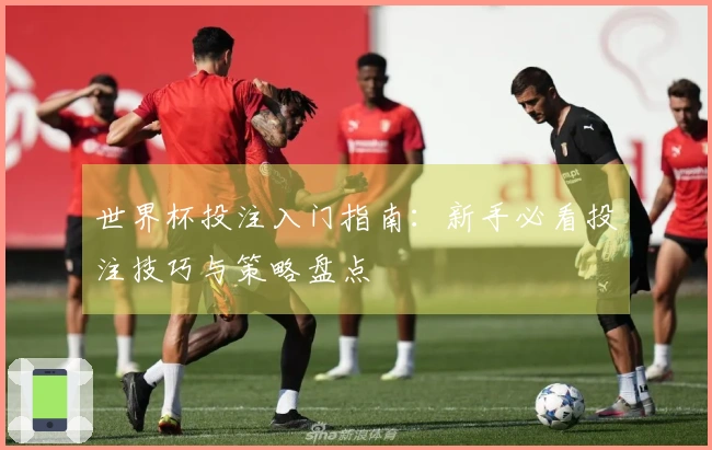 世界杯投注入门指南：新手必看投注技巧与策略盘点