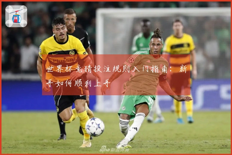 世界杯竞猜投注规则入门指南：新手如何顺利上手