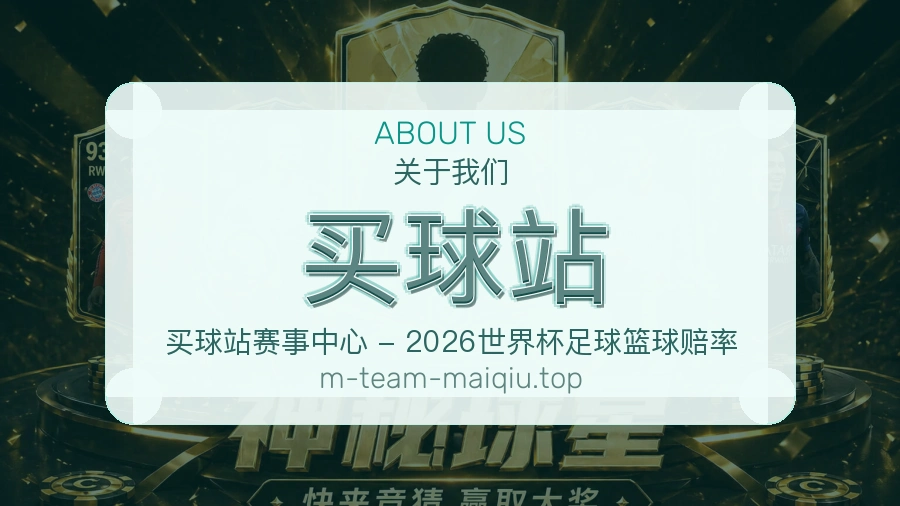 关于 买球站 团队与服务